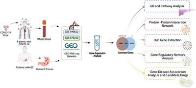 Exploration of the link between COVID-19 and gastric cancer from the perspective of bioinformatics and systems biology